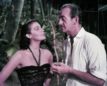 DAVID NIVEN AVA GARDNER THE LITTLE HUT PRINTS AND POSTERS 287139