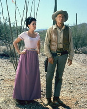 THE HIGH CHAPARRAL PRINTS AND POSTERS 255308
