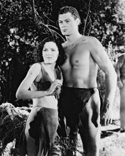 TARZAN AND HIS MATE JOHNNY WEISSMULLER PRINTS AND POSTERS 13348