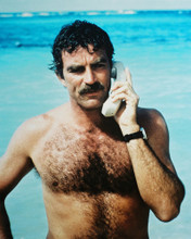 TOM SELLECK PRINTS AND POSTERS 24376