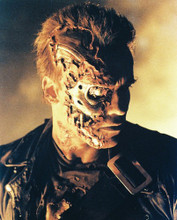TERMINATOR 2 JUDGMENT DAY ARNOLD SCHWARZENEGGER PRINTS AND POSTERS 27776