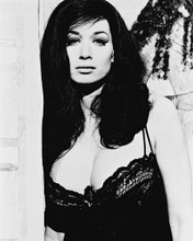 VALERIE LEON SEXY BUSTY LINGERIE PRINTS AND POSTERS 160897