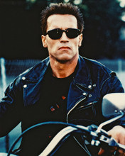 ARNOLD SCHWARZENEGGER PRINTS AND POSTERS 26736