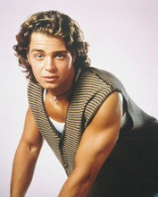BLOSSOM JOEY LAWRENCE PRINTS AND POSTERS 215342