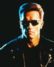 ARNOLD SCHWARZENEGGER PRINTS AND POSTERS 216649