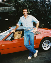 TOM SELLECK PRINTS AND POSTERS 217356