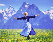 THE SOUND OF MUSIC JULIE ANDREWS MOUNTAINS PRINTS AND POSTERS 220967