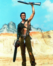 BRUCE CAMPBELL ARMY OF DARKNESS EVIL DEAD GUN PRINTS AND POSTERS 221026