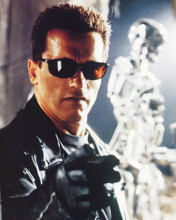 ARNOLD SCHWARZENEGGER PRINTS AND POSTERS 222742