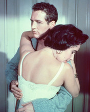 CAT ON A HOT TIN ROOF ELIZABETH TAYLOR PRINTS AND POSTERS 226822