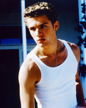 RYAN PHILLIPPE I KNOW WHAT YOU DID LAST SUMMER PRINTS AND POSTERS 228682