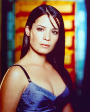 HOLLY MARIE COMBS PRINTS AND POSTERS 240394