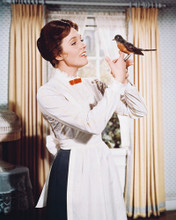 JULIE ANDREWS PRINTS AND POSTERS 245432