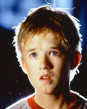 HALEY JOEL OSMENT PRINTS AND POSTERS 248269