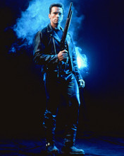 ARNOLD SCHWARZENEGGER PRINTS AND POSTERS 248971