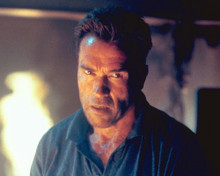 ARNOLD SCHWARZENEGGER PRINTS AND POSTERS 250862
