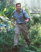 ARNOLD SCHWARZENEGGER PRINTS AND POSTERS 250863