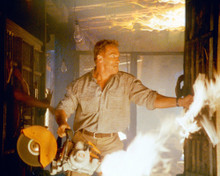 COLLATERAL DAMAGE ARNOLD SCHWARZENEGGER PRINTS AND POSTERS 250867