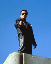 ARNOLD SCHWARZENEGGER PRINTS AND POSTERS 252119