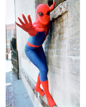 THE AMAZING SPIDER-MAN NICHOLAS HAMMOND PRINTS AND POSTERS 267130