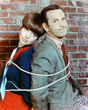 GET SMART COL DON ADAMS BARBARA FELDON TIED UP PRINTS AND POSTERS 273388