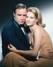 THE CHASE MARLON BRANDO ANGIE DICKINSON PRINTS AND POSTERS 274338