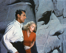 NORTH BY NORTHWEST MT RUSHMORE SCENE PRINTS AND POSTERS 280544