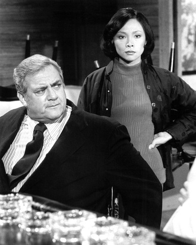 Where Can I Watch Ironside With Raymond Burr Ironside Raymond Burr