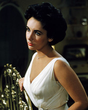 ELIZABETH TAYLOR PRINTS AND POSTERS 284865