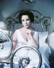 ELIZABETH TAYLOR PRINTS AND POSTERS 284953