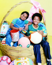 TODD BRIDGES GARY COLEMAN DIFF'RENT STROKES EASTER BASKET EGGS PRINTS AND POSTERS 285241