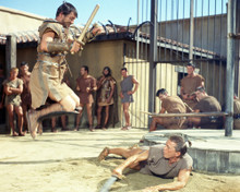 SPARTACUS PRINTS AND POSTERS 288894