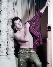 TONY CURTIS PRINTS AND POSTERS 290059