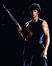 SYLVESTER STALLONE PRINTS AND POSTERS 290065