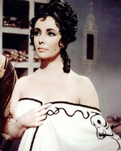 ELIZABETH TAYLOR PRINTS AND POSTERS 290124