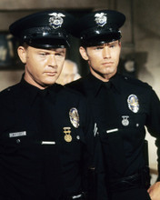 ADAM-12 PRINTS AND POSTERS 290166