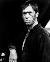 DAVID CARRADINE PRINTS AND POSTERS 198733