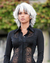 HALLE BERRY PRINTS AND POSTERS 289998