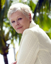 JUDI DENCH PRINTS AND POSTERS 290022