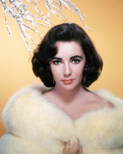 ELIZABETH TAYLOR PRINTS AND POSTERS 289897