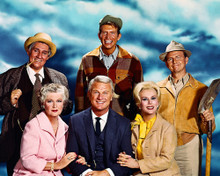 GREEN ACRES PRINTS AND POSTERS 289909