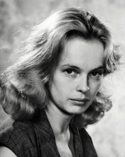 SANDY DENNIS PRINTS AND POSTERS 198763
