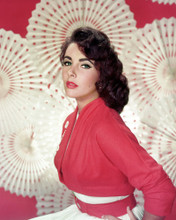 ELIZABETH TAYLOR PRINTS AND POSTERS 289931