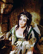 ELIZABETH TAYLOR PRINTS AND POSTERS 289954