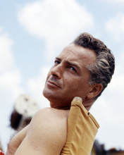 ROSSANO BRAZZI BARECHESTED IN DIRECTORS CHAIR PRINTS AND POSTERS 290331