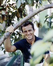 ROBERT CONRAD 1960'S PORTRAIT SMILING POLO SHIRT PRINTS AND POSTERS 290335