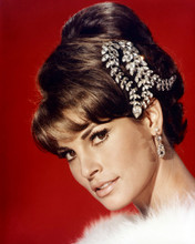 RAQUEL WELCH STRIKING STUDIO HEAD SHOT RED BACKDROP JEWELS IN HAIR PRINTS AND POSTERS 290348
