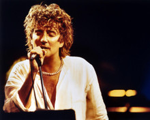 ROD STEWART PRINTS AND POSTERS 290366