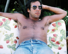 CHEVY CHASE BARECHESTED HUNK PORTRAIT SUNGLASSES PRINTS AND POSTERS 290396