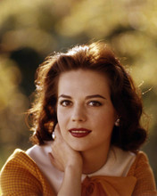 NATALIE WOOD LOVELY OUTDOOR HEAD AND SHOULDERS PORTRAIT CIRCA 1960 PRINTS AND POSTERS 290398